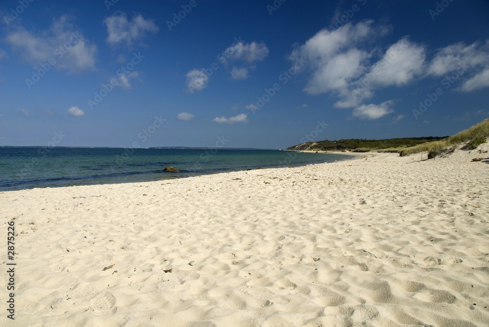 lambert's cove beach martha's vineyard lambert's cove beach martha's vineyard