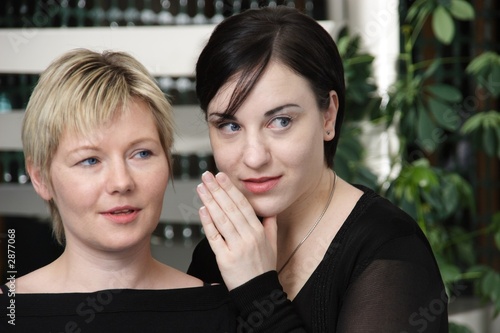 Fototapeta tritsch tratsch klatsch 1