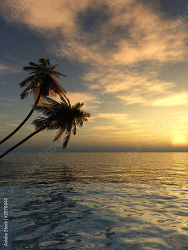 palms_sunset_vcs