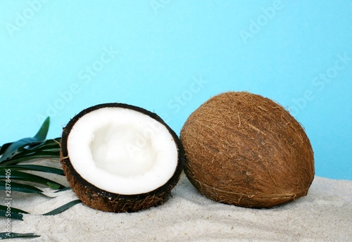 healthy coconut