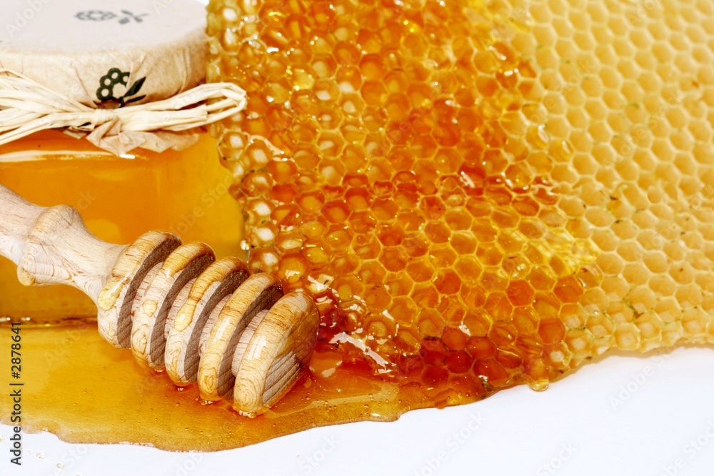 fresh honey fresh honey