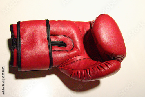 gant de boxe 03 photo