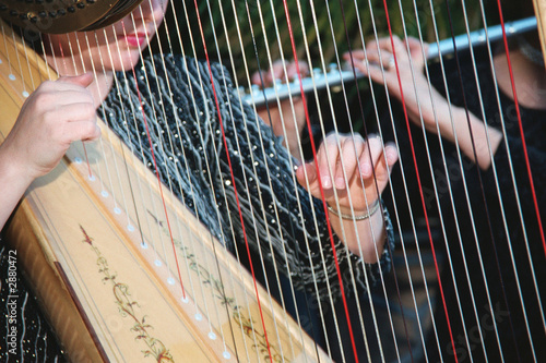 harp and flute performers at wedding