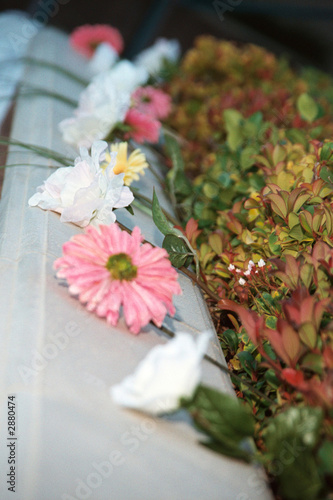 pink and white flowers on wall