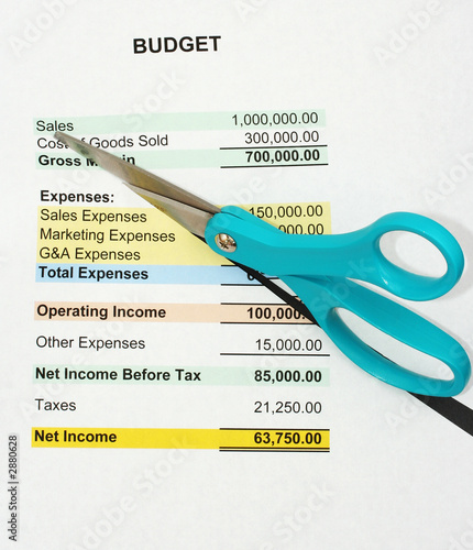 cutting the budget