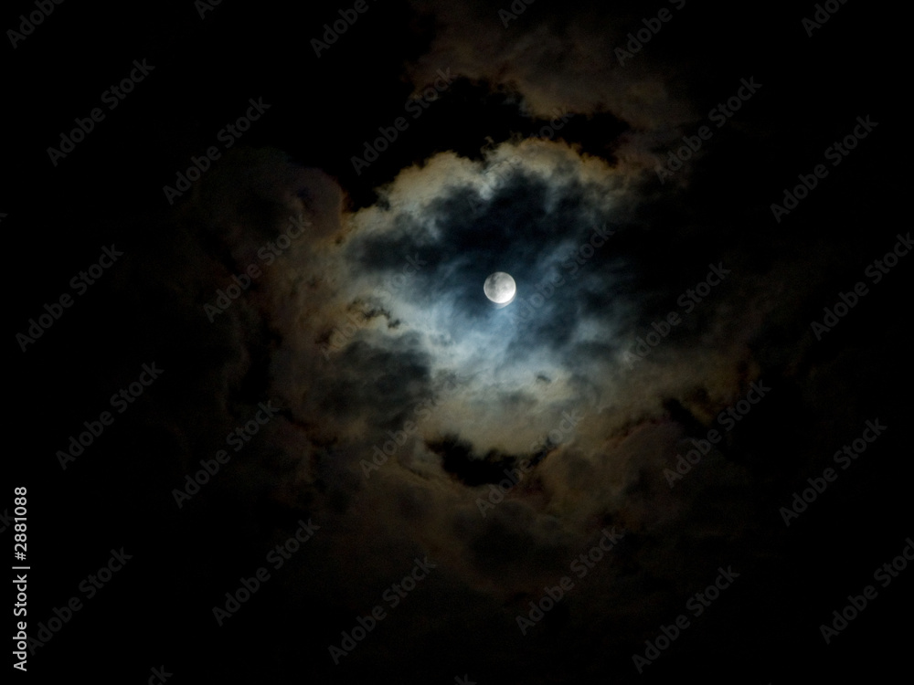 Obraz premium midnight pearl