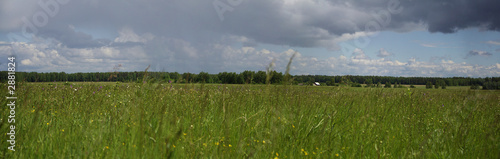 in the field