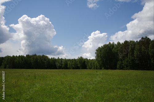 meadow