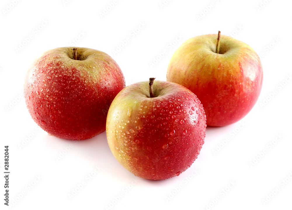 apples apples