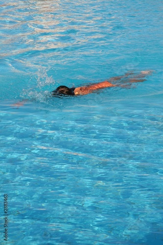 swimmer © Juraj 