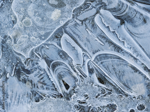 Schilderij op canvas ice flowers  texture  frostwork