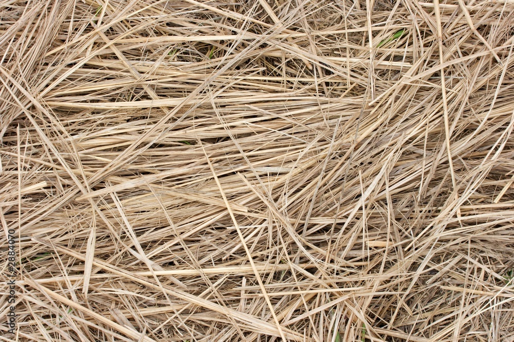 straw straw