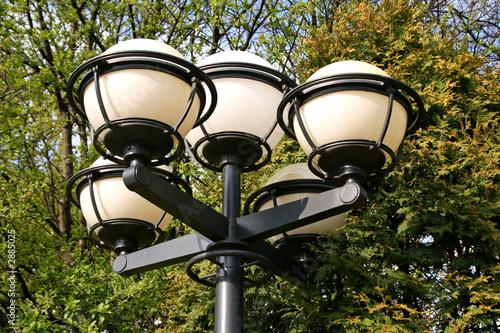 lights in park