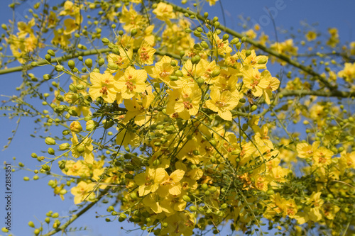 spring time