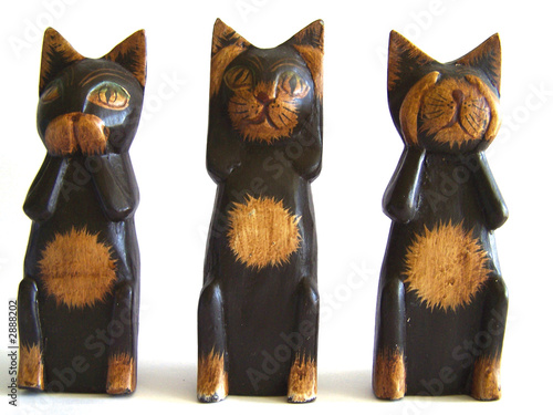 3 chats de la sagesse