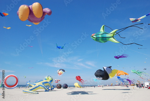 nuée de cerfs volants