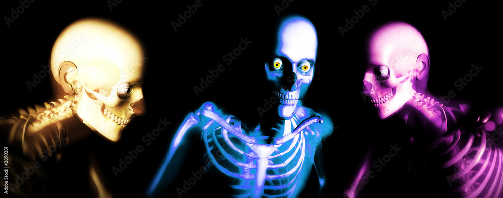 human bones 114