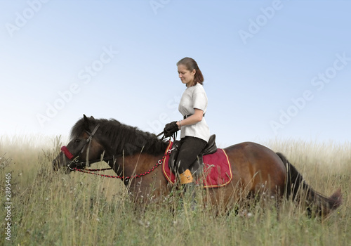 rider and black horse in a floor