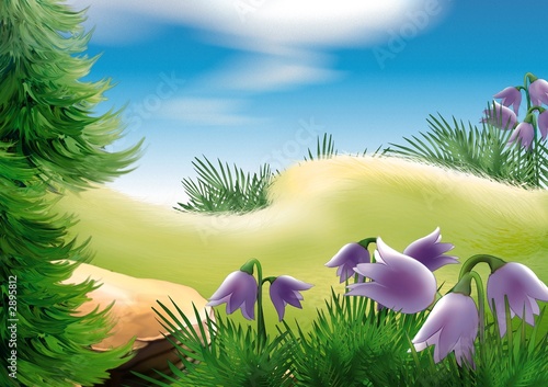 forest glade