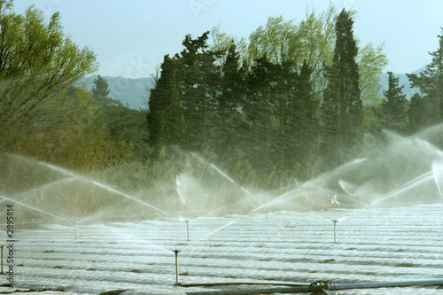 irrigation