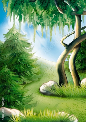 forest hillside