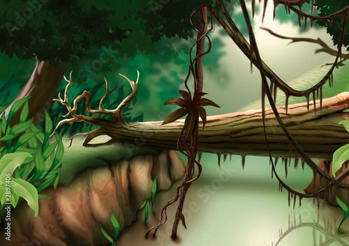 jungle