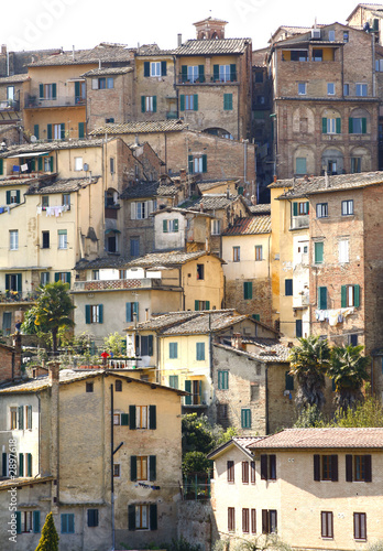 siena