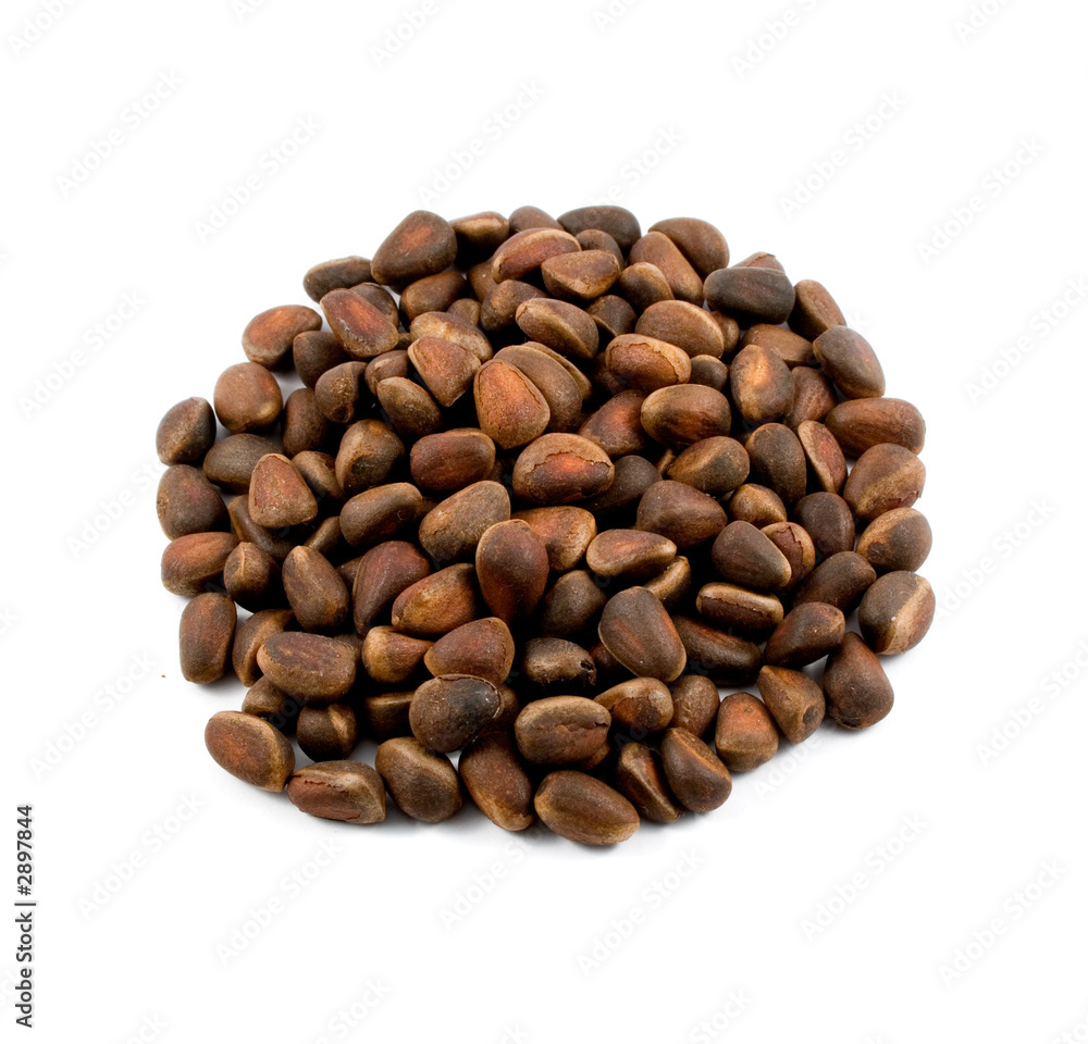pine nuts pine nuts