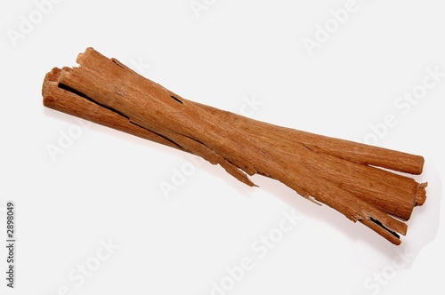 canelle 4