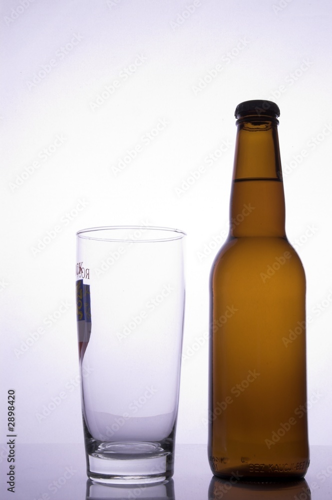 beer mug and bottle beer mug and bottle