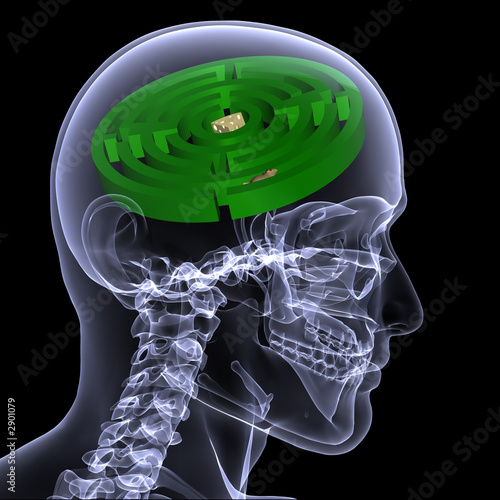 skeleton x-ray - maze