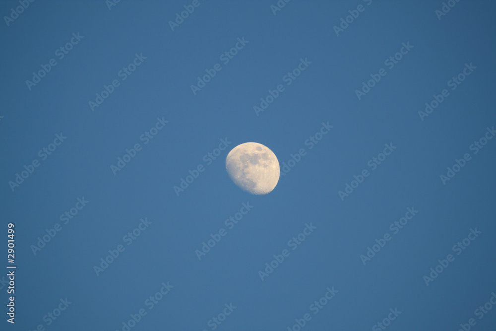 moon 2 moon 2