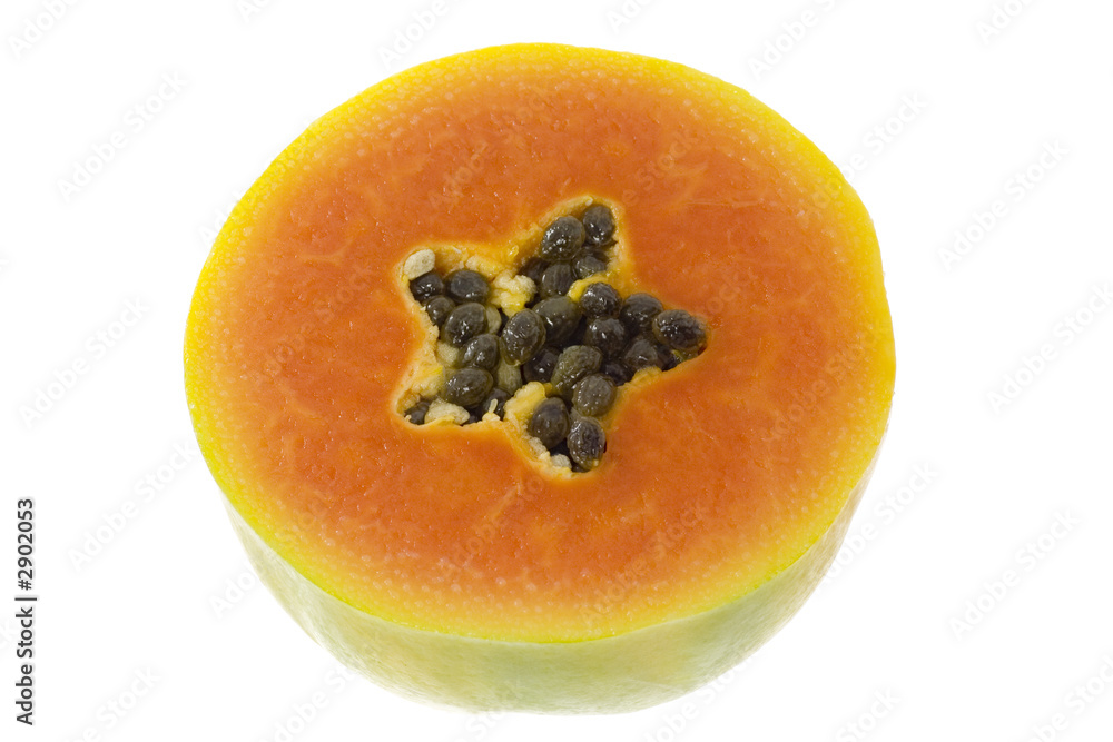 Does Papaya Plants Cross Pol9 - Featured Image