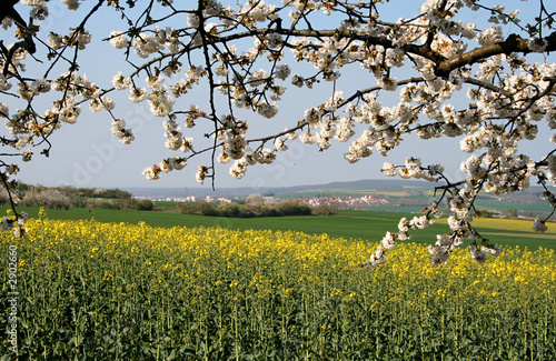 campagne bourguignonne photo