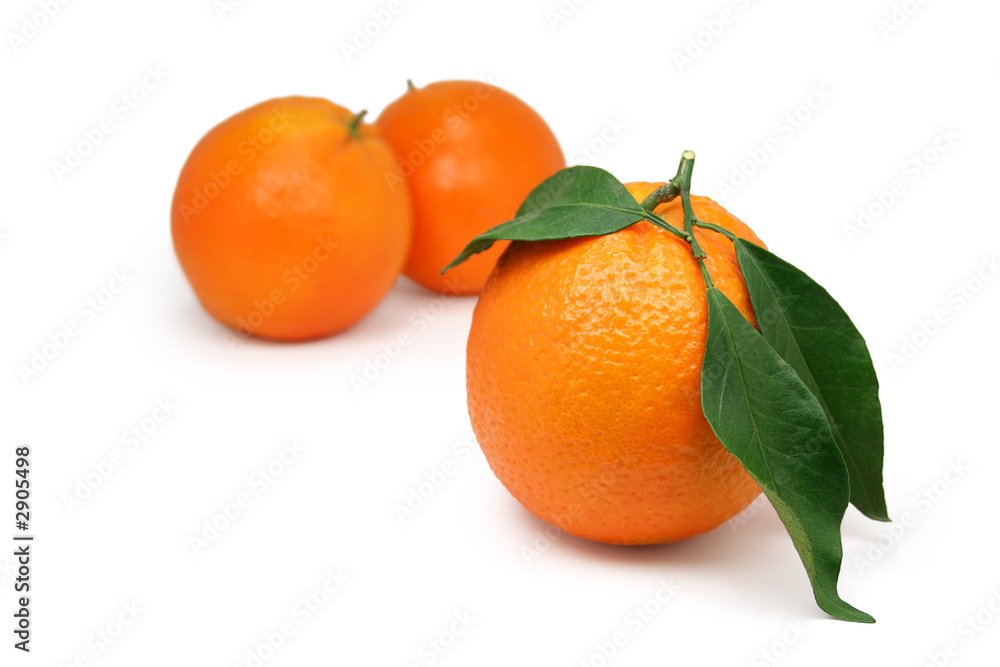 oranges with leaves oranges with leaves