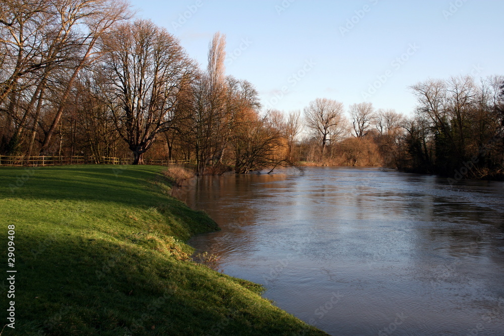 riverbank