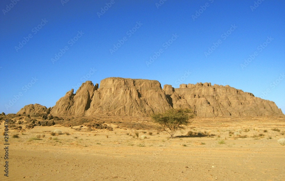 désert algérien