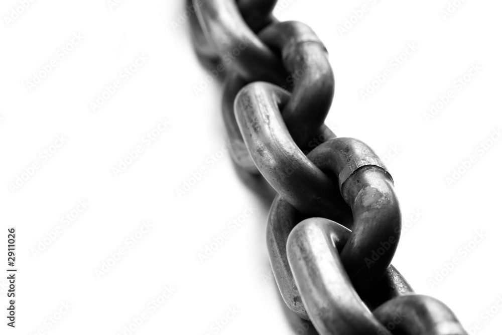 Fototapeta premium chain macro