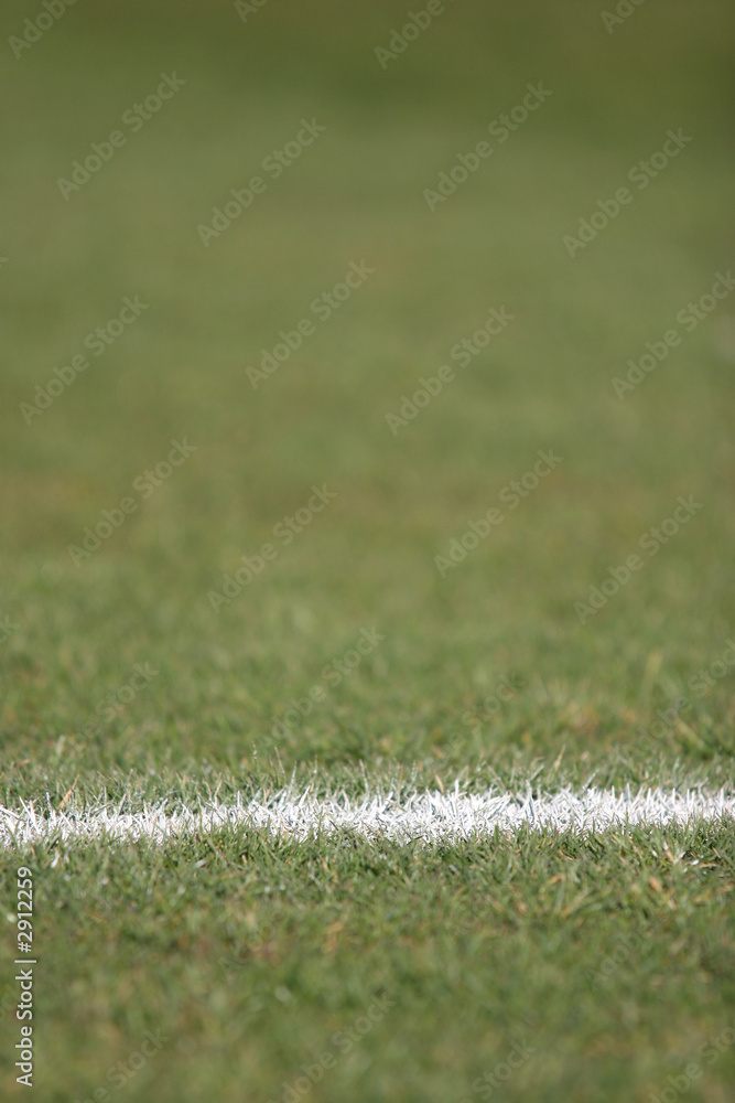 white line on the stadium grass