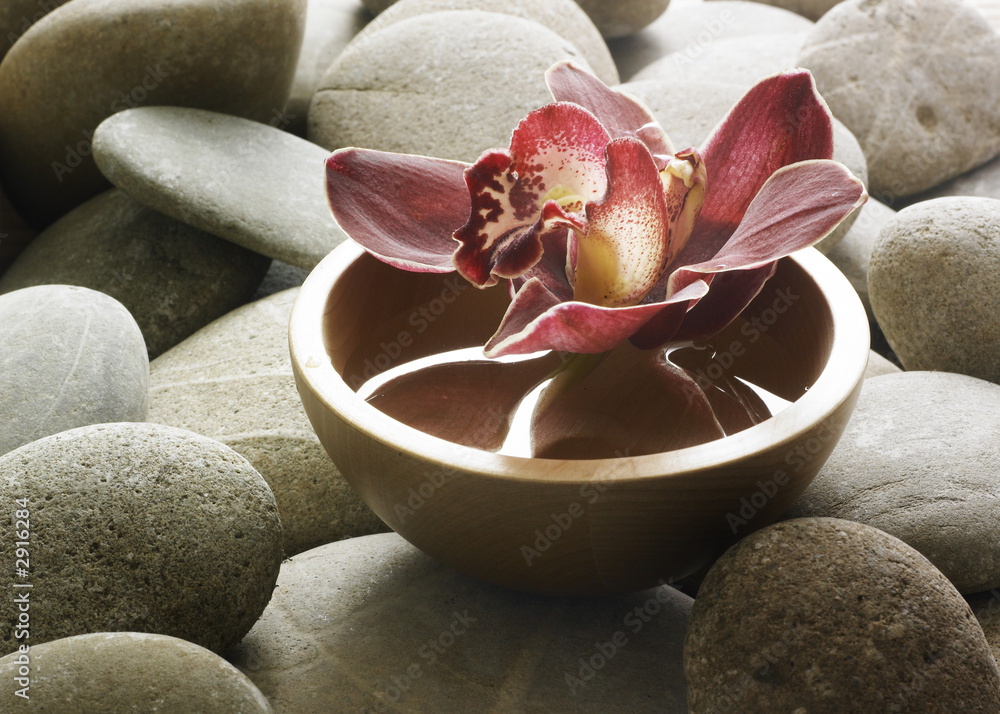Naklejka premium décor floral zen