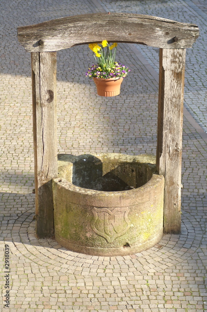 Fototapeta premium pozzo