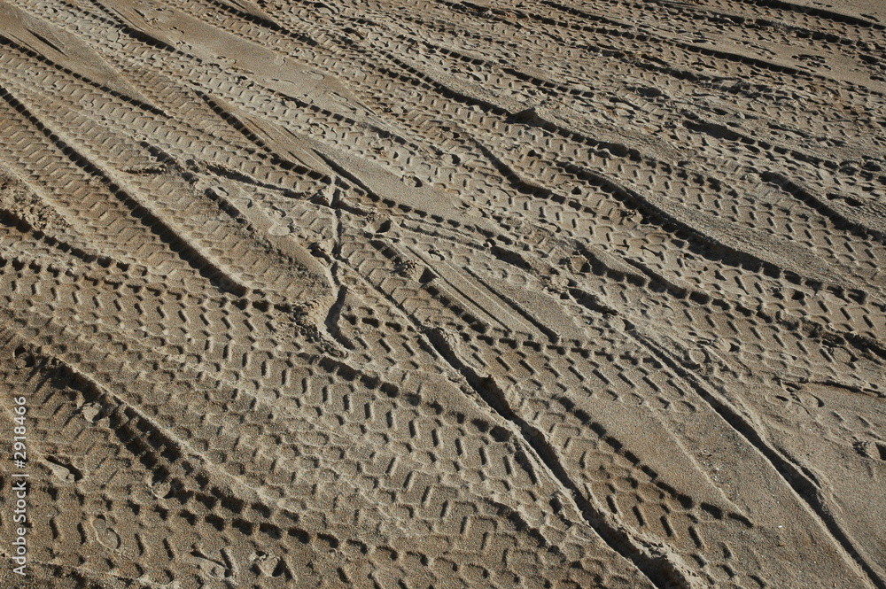 traces dans le désert traces dans le désert