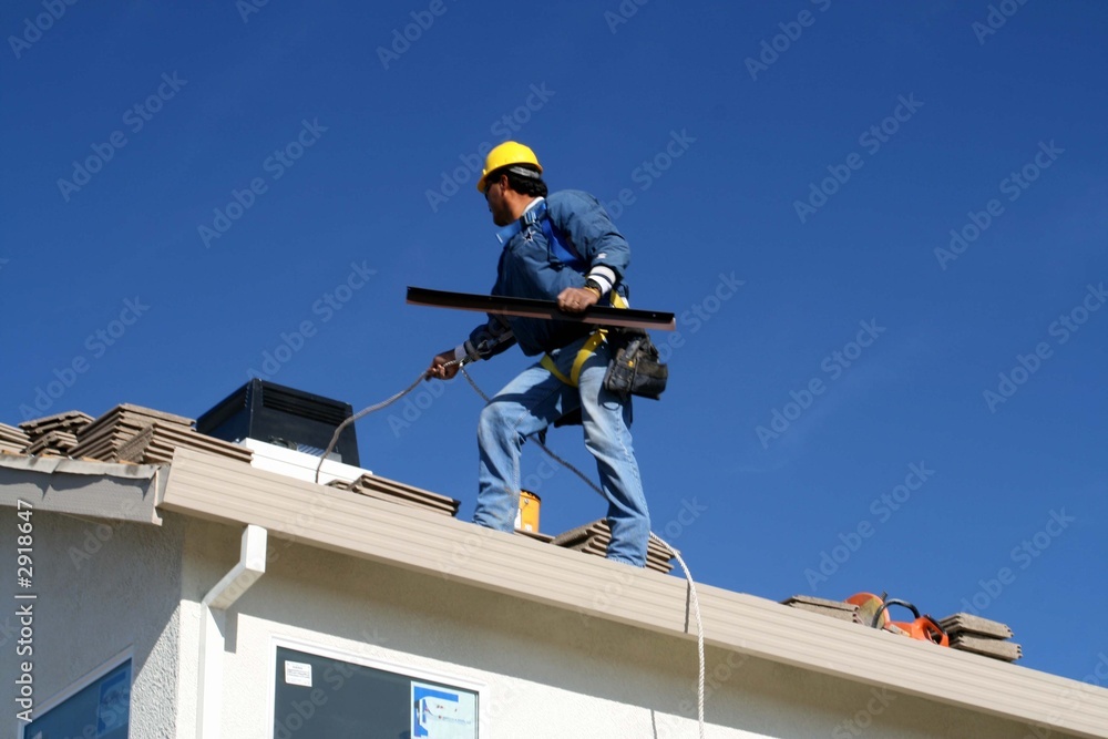 Fototapeta premium roofer