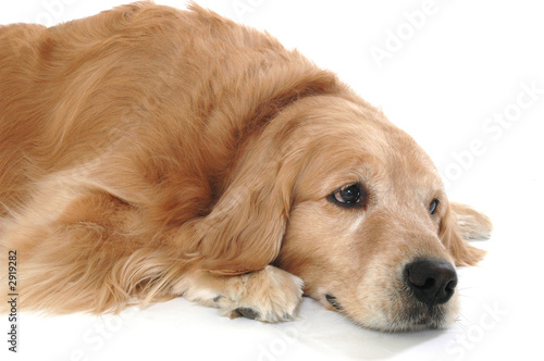 what a sad face