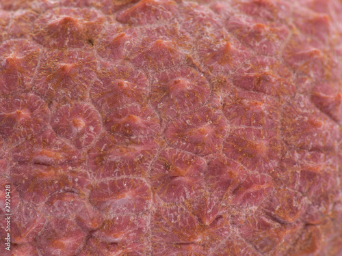 macro skin of lychee