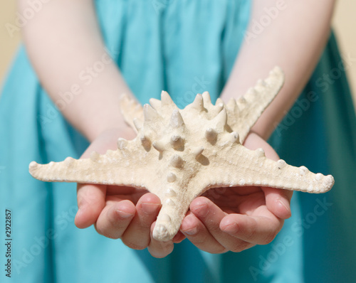 sea star in the hands