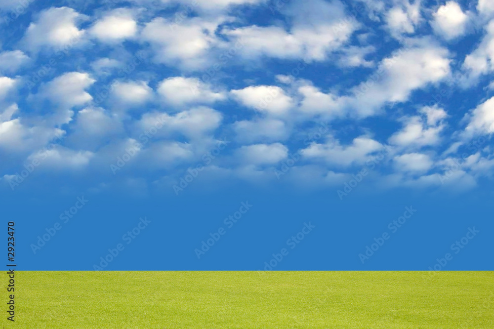 Obraz premium meadow and pleasant sky