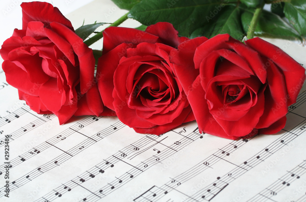 Fototapeta premium three red roses on sheet music