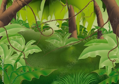 virgin forest