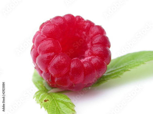 framboise